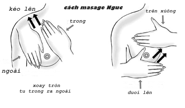 massage-nguc-nho1
